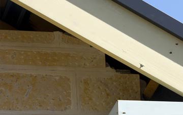 soffit repair Clovelly